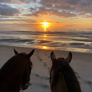 Meet your Posher, Tarah